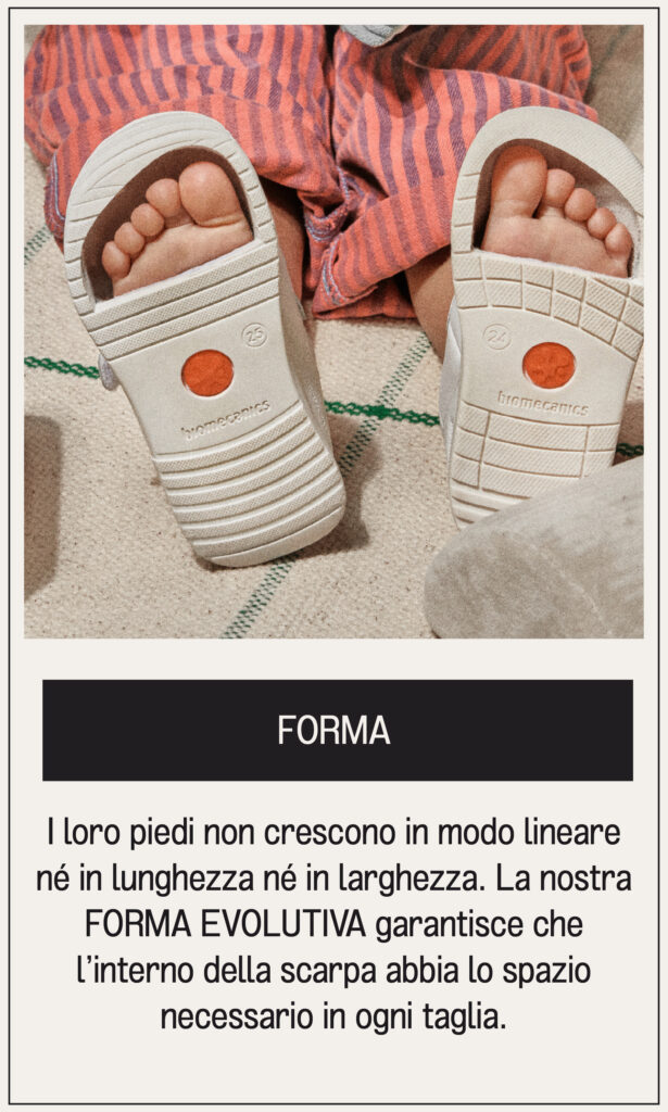 Mesa de trabajo 4 copia 50@2x-80